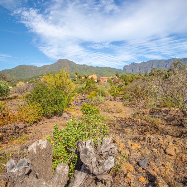 Hacienda La Centenaria alojamiento en La Palma