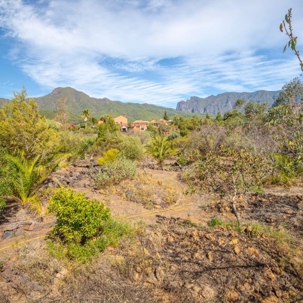 Hacienda La Centenaria alojamiento en La Palma