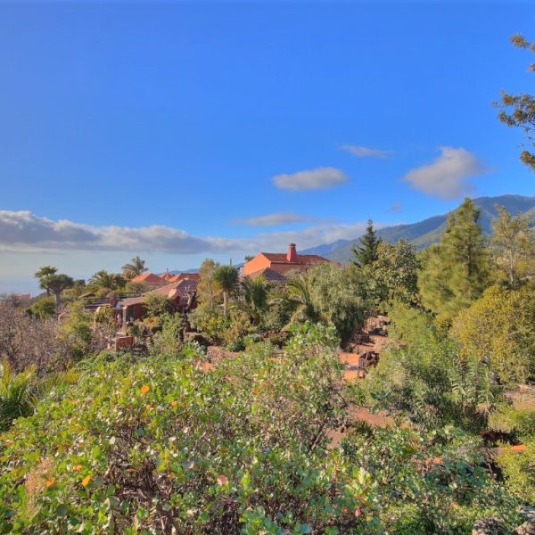 Hacienda La Centenaria alojamiento en La Palma