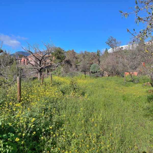 ID1064-00164