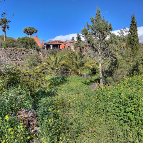 ID1064-00168