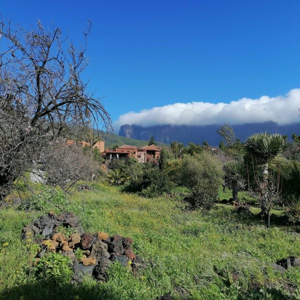 Hacienda La Centenaria alojamiento en La Palma