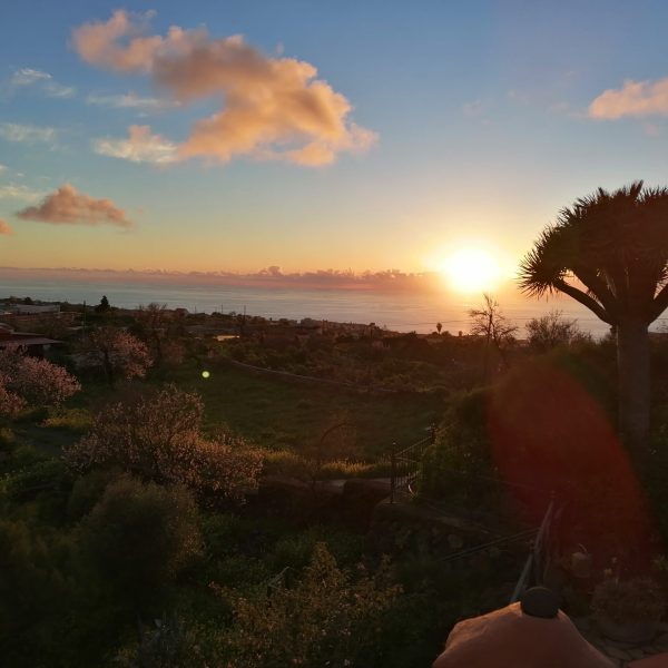 Hacienda La Centenaria alojamiento en La Palma